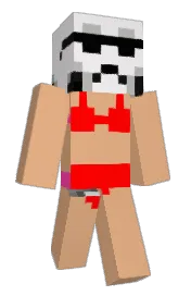 Skin preview