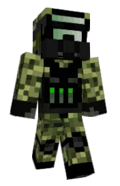 Skin preview