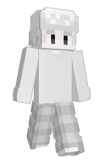 Front of Renterq's skin