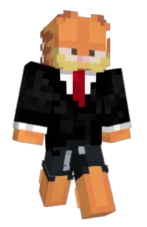 Front of Ir1_npc's skin