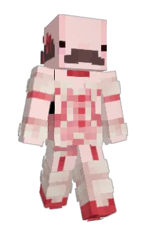 bwunns's Minecraft skin