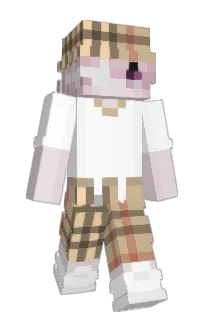 Front of 1hry's skin