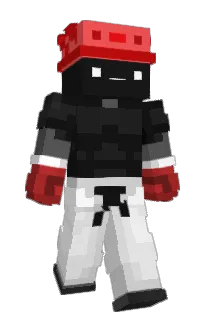 Front of luffed's skin