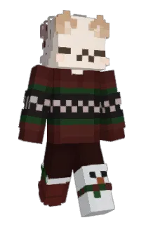 Front of wispoe's skin