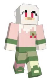 Skin preview