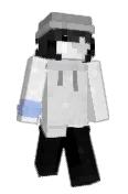Snowlicer