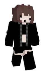 black and congo brown Minecraft skin — Slim model