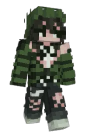 Skin preview