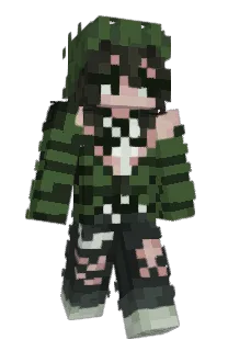 Front of foxblogger's skin