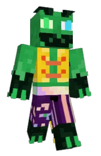 Front of Sp1cyp1neapple's skin