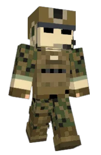 Front of Minecraft skin