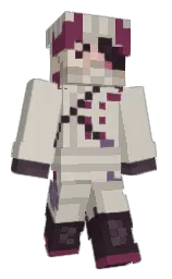Minecraft skin — Classic model
