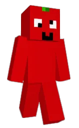 monza and japanese laurel Minecraft skin — Classic model