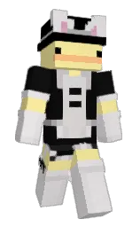 bon jour and texas Minecraft skin — Slim model — first worn by duck_with_a_hat