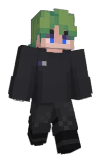 Front of Neverglades's skin