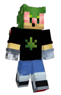 Front of culiacann's skin