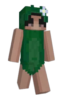 Front of viece's skin