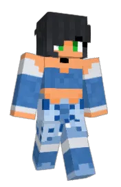 Skin preview