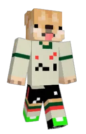 Skin preview