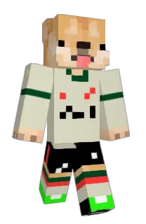 einsteinkoning's Minecraft skin