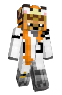 Front of paskchip's skin