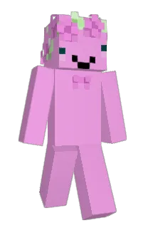 Front of Panchooooo's skin