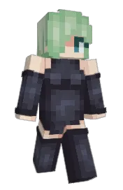 Skin preview