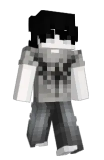 Front of shhort's skin