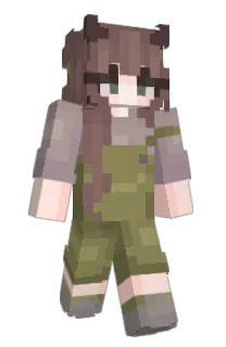 Front of fgbb's skin