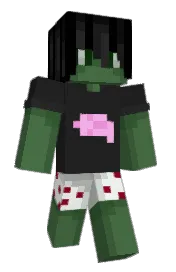 Skin preview