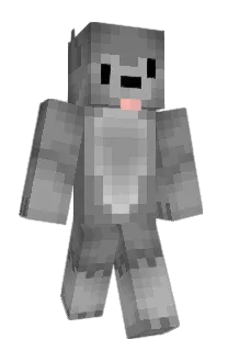 Front of 291kiwnL's skin