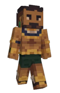 Front of cNO1c's skin