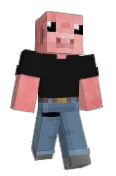 PVP1G