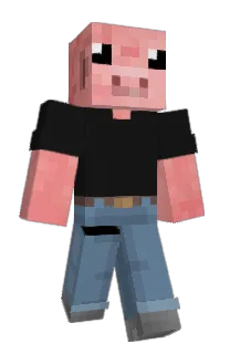 Front of PVP1G's skin