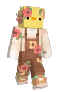 Front of dikda's skin