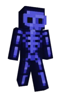 Front of NoPxTcHss's skin