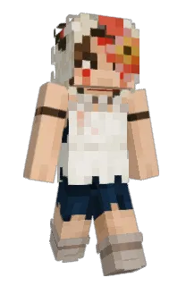 Front of ZartnFart's skin