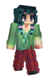 Skin preview