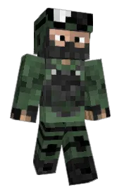 Skin preview