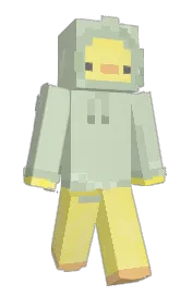 Skin preview