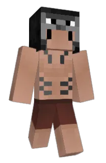 Front of PineGoose's skin