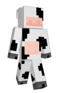 Front of solbute's skin