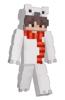 Howellllll437's Minecraft skin