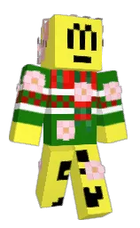 Minecraft skin — Classic model