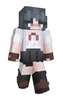 Front of allovier's skin