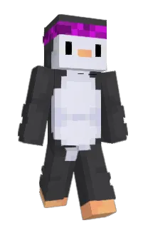 Front of solidvx's skin