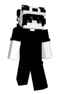 Front of CAMPTONDISSTRACK's skin