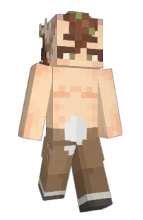 Front of beetlebarks's skin
