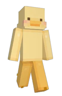 Front of komking's skin