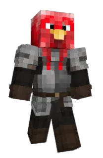 Front of Terquey's skin